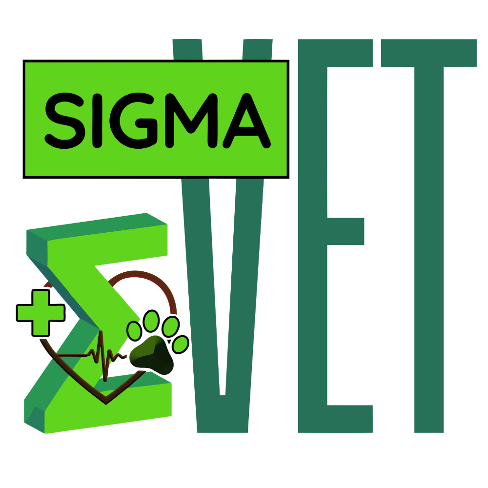 Veterinary team